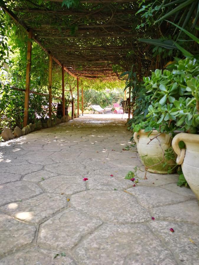 Villa Murgia Solanas  Eksteriør bilde