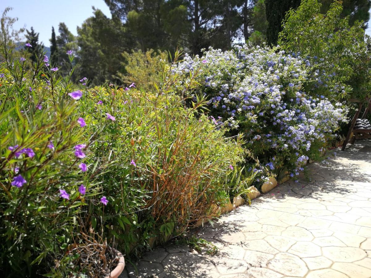 Villa Murgia Solanas  Eksteriør bilde
